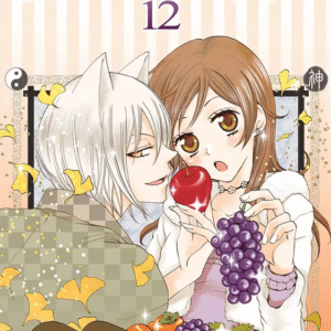 kamisama kiss vol.12